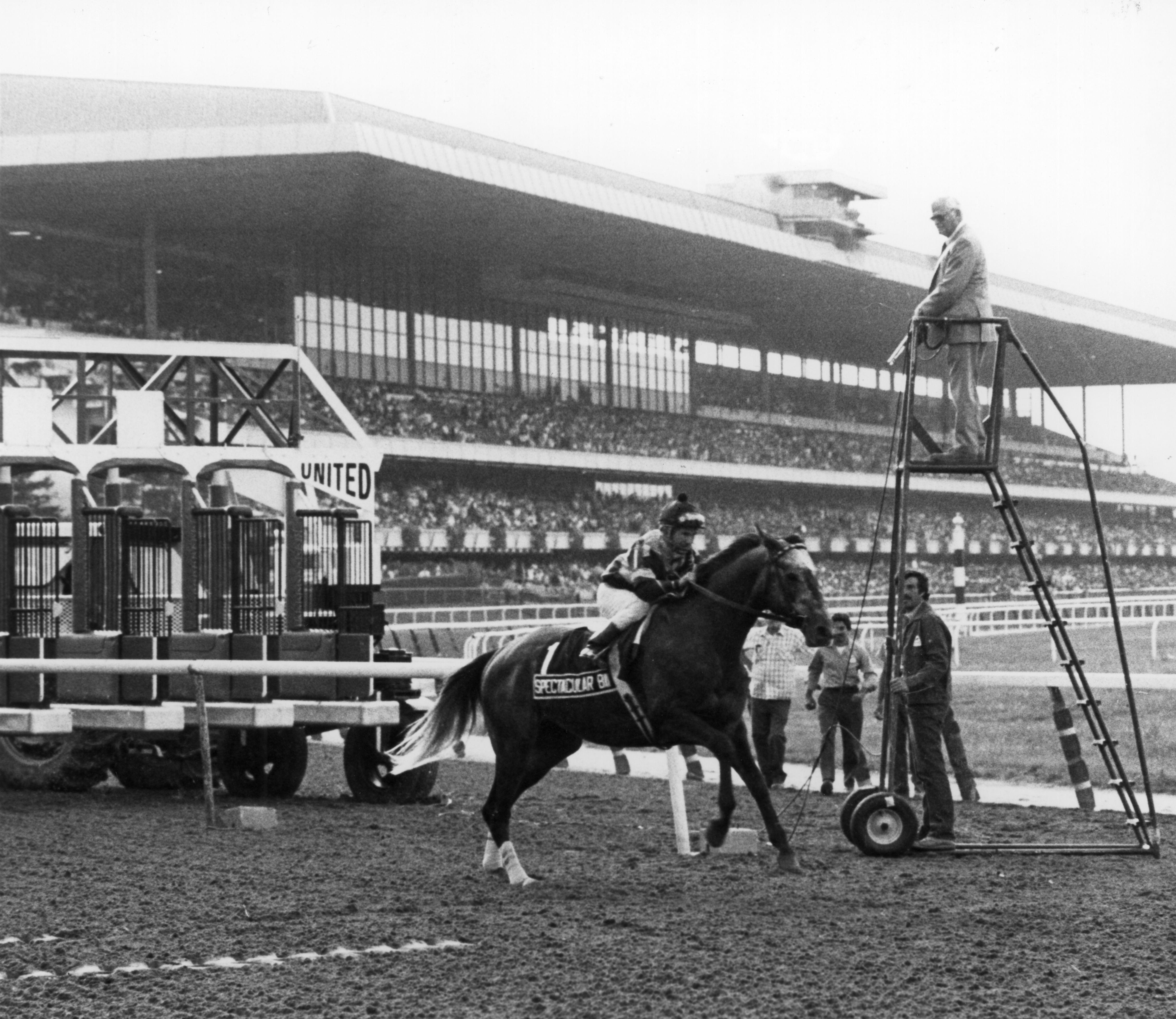 Spectacular Bid at the start of the 1980 Woodward.